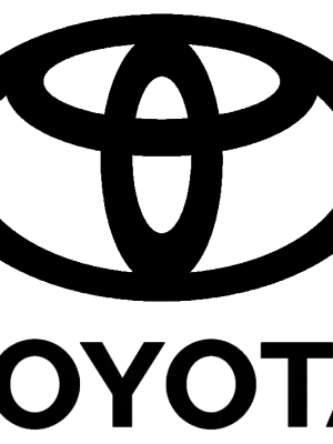 Značkový Autolak do pistole Toyota 100ml<span class="small color-gray text-muted"> - Toyota: 539 YELLOW</span>