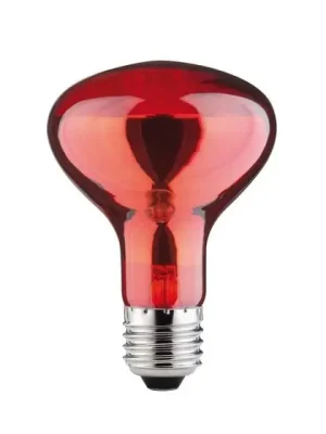 Ihned K Objednání Reflektorová žárovka R80 60W E27 230V infračervená - PAULMANN